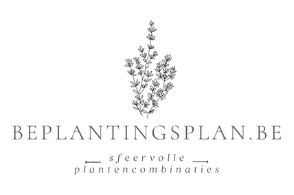 Beplantingsplan